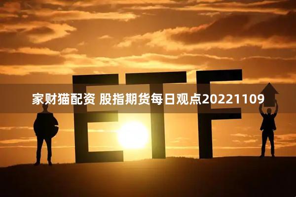 家财猫配资 股指期货每日观点20221109