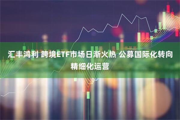 汇丰鸿利 跨境ETF市场日渐火热 公募国际化转向精细化运营