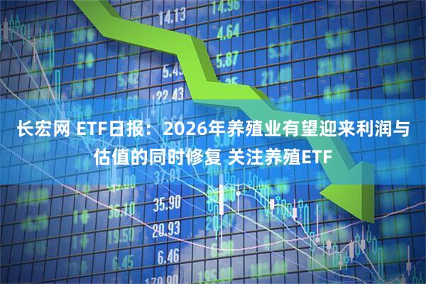 长宏网 ETF日报：2026年养殖业有望迎来利润与估值的同时修复 关注养殖ETF